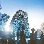 Key Considerations for Expanding Your Business Internationally