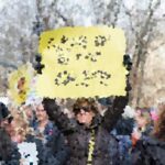 Analyzing the Effects of Political Polarization