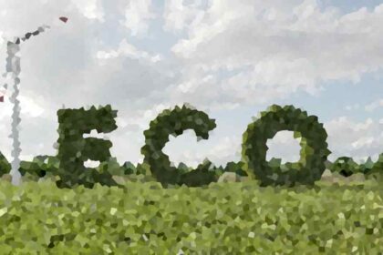 Innovative Solutions for Reducing Plastic Waste